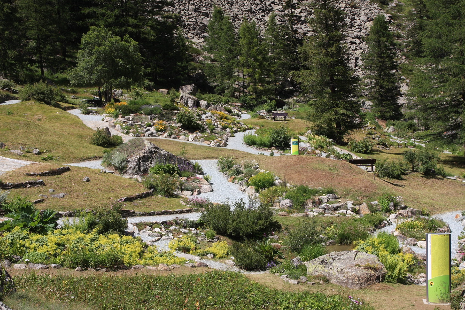 Overview of Paradisia